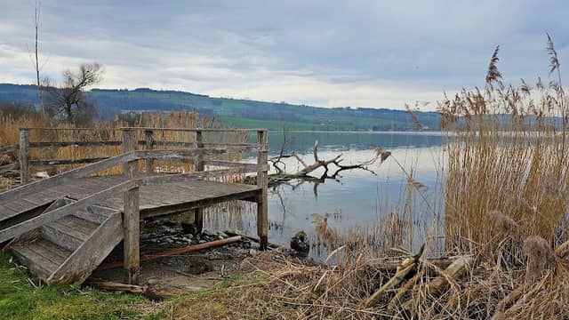 Aussichtsplattform Camping Sempach - Image 3