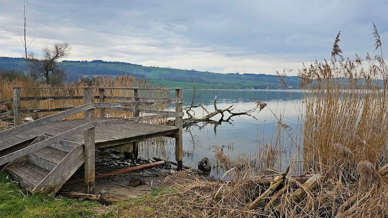 Aussichtsplattform Camping Sempach - Image 3