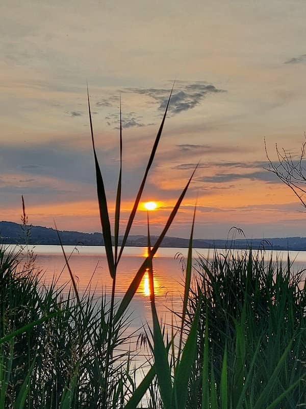 Aussichtsplattform Camping Sempach - Image 1