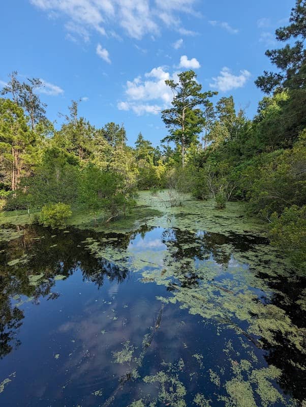 Kitty Hawk Reserve - Image 1