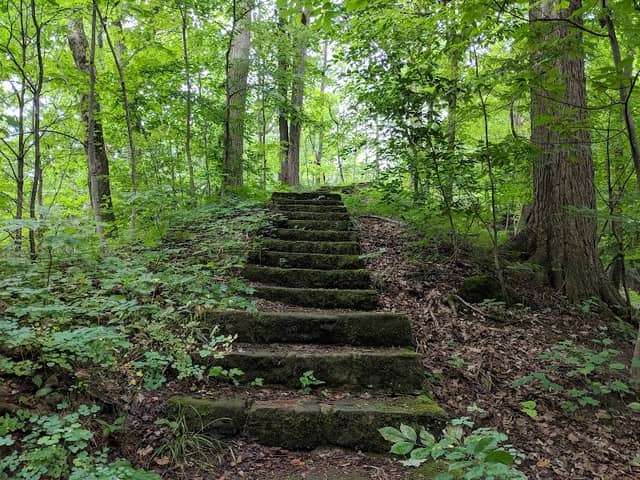 Middle Park - Image 2