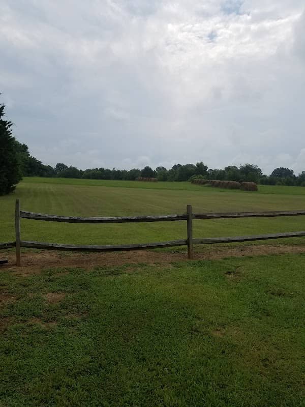 Ingomar Mounds - Image 1