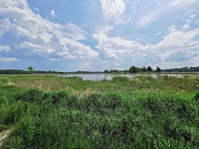 Gorsingeholm nature preserve - Gorsingeholm Hills - Image 1