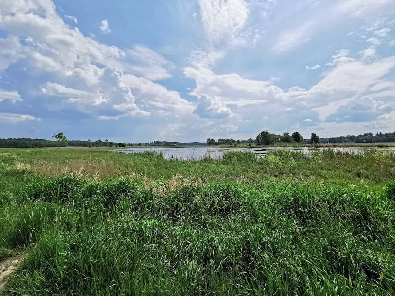 Gorsingeholm nature preserve - Gorsingeholm Hills - Image 1