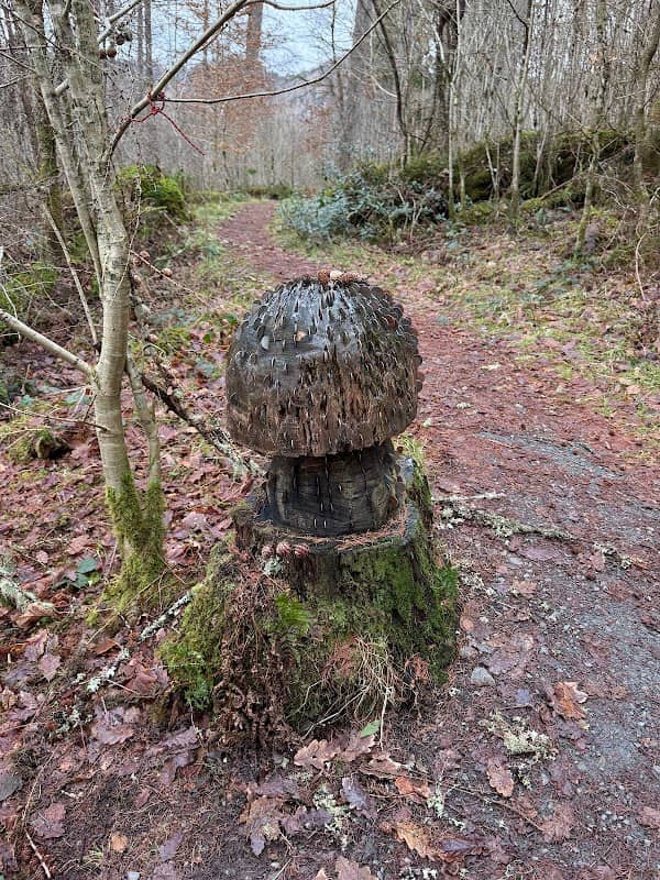 Doon Hill & Fairy Knowe - Image 3
