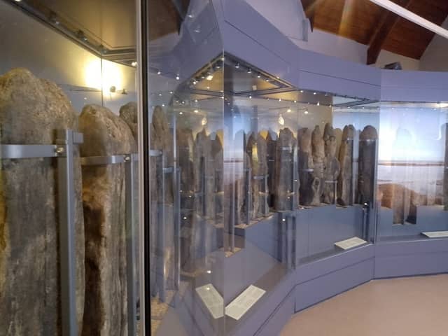 Lynn Museum - Image 1