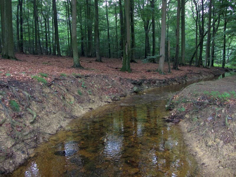 Hasselbachgraben - Image 1