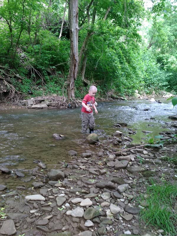 New Cumberland Park - Image 1