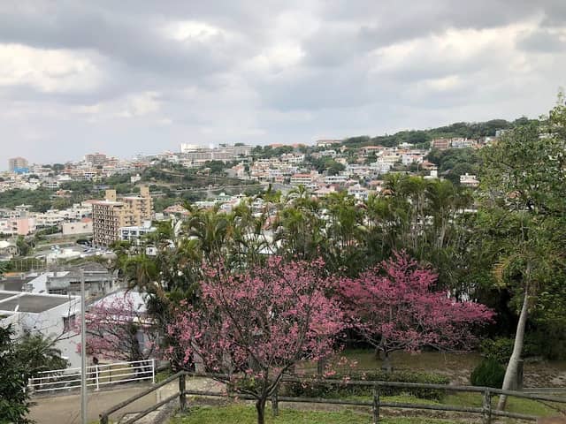 Hantagawa Park - Image 2