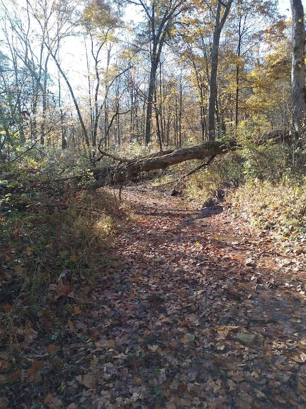 Caldwell Lake Fire Tower Trail - Image 1