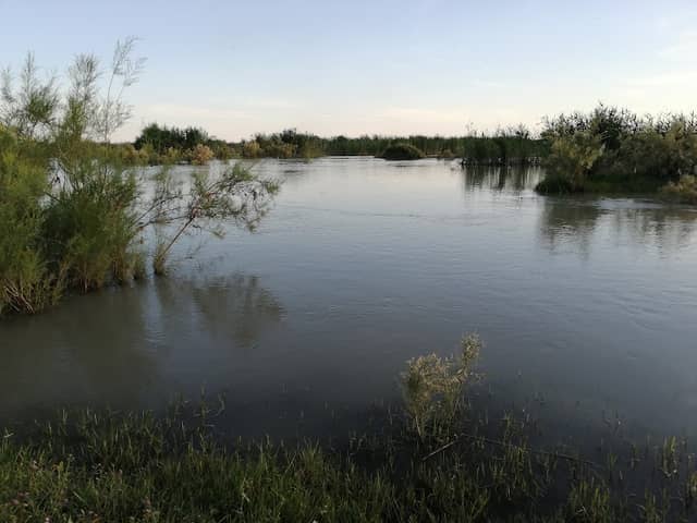 الخليج - Image 1