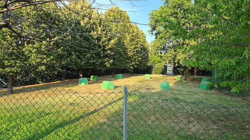 Dog area - Image 2