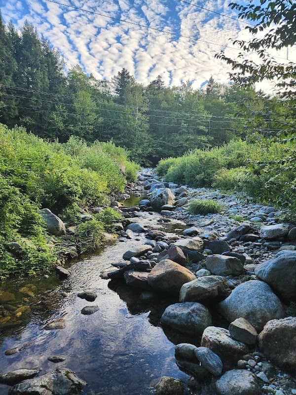 Snyder Brook Scenic Area - Image 1