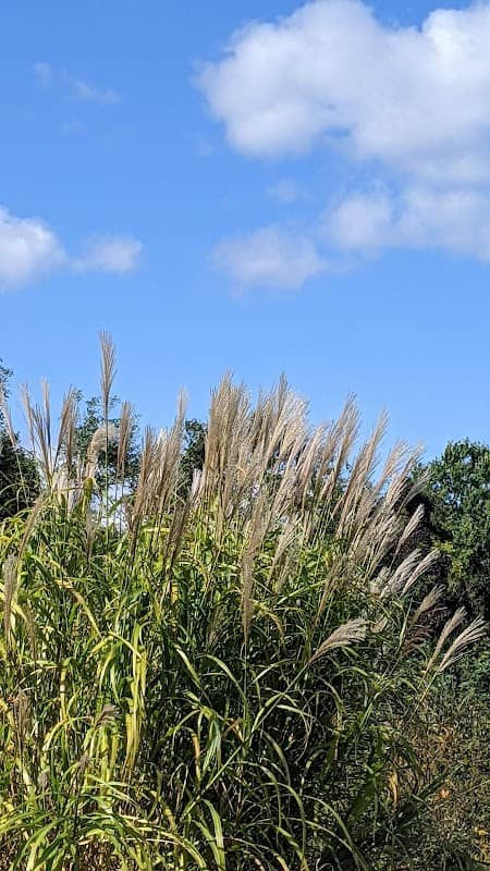 Blue Heron Nature Preserve - Image 3