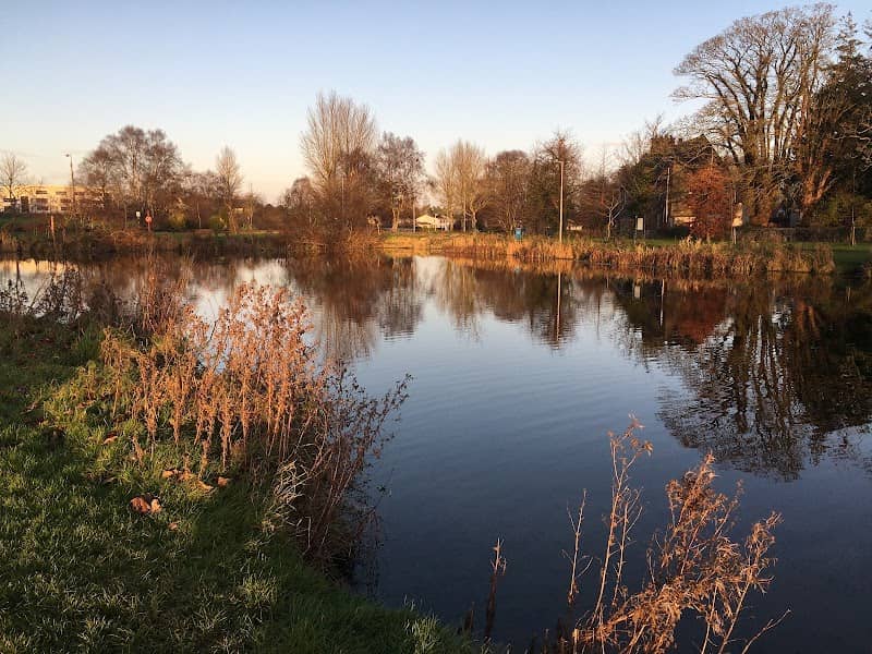 Naas Old Railway Walk - Image 1