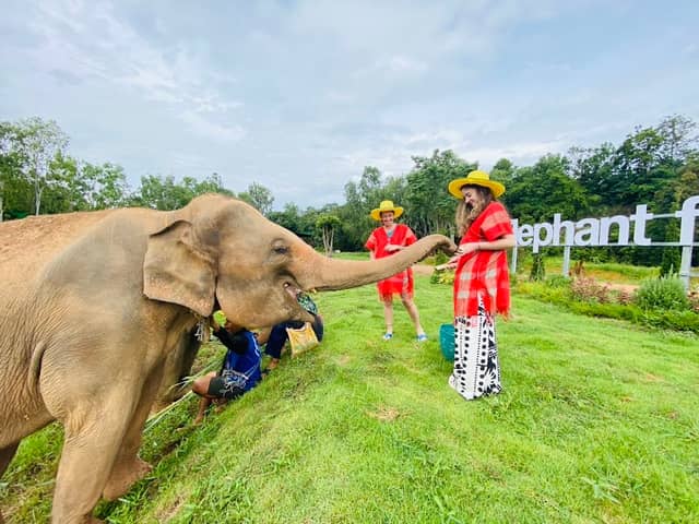 Elephant Fun Farm - Image 1