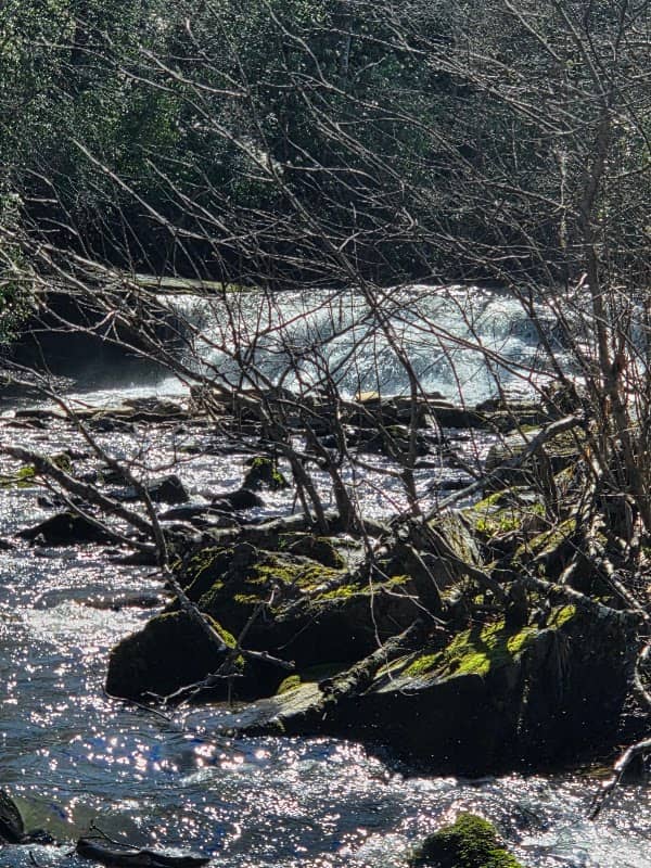 East Fork French public access - Image 1
