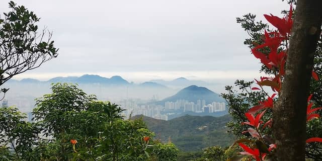 Tsuen Wan Urban Lookout - Image 2