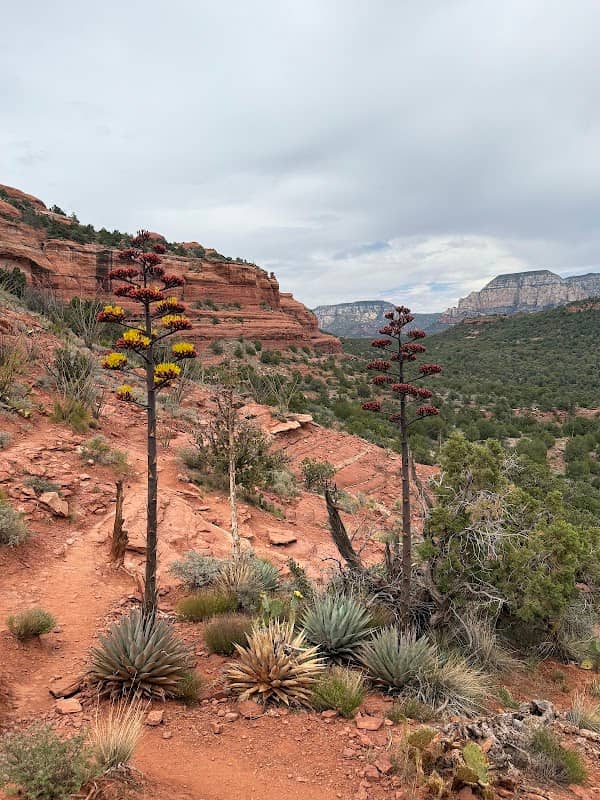 Boynton Canyon Trail - Image 2