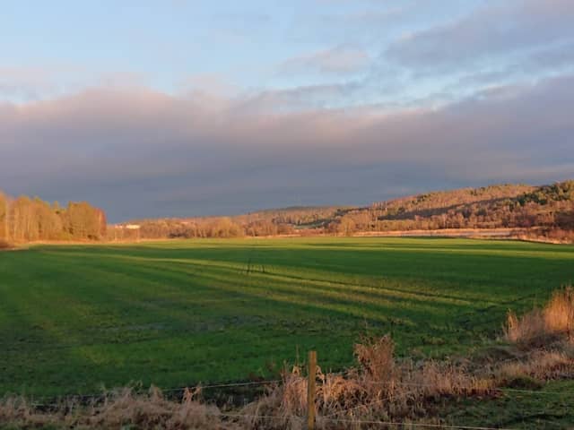 Nature reserve Göta and Nordre River valleys - Image 3