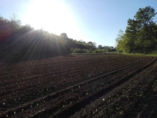 Parco dei Colli Briantei - Image 1