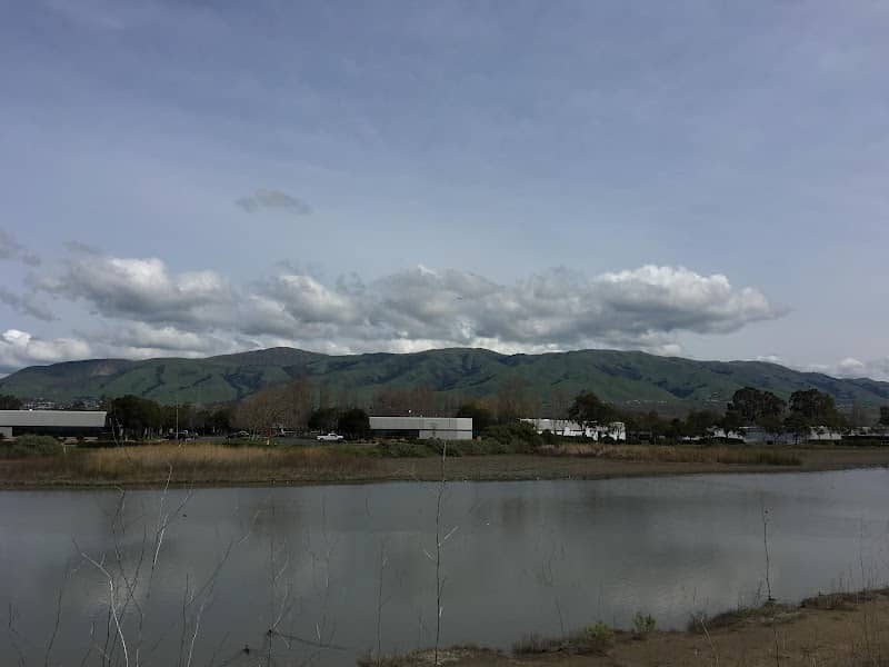 Coyote Creek Lagoon Trail - South - Image 2