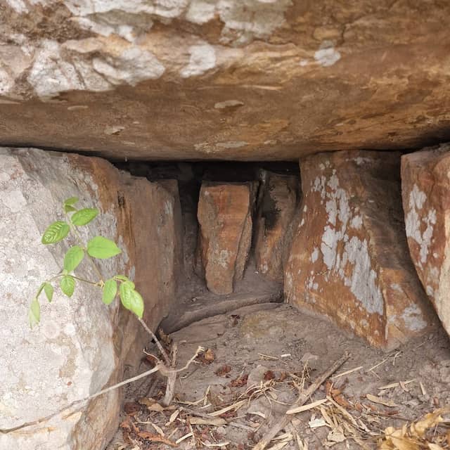 Bat Cave - Image 1