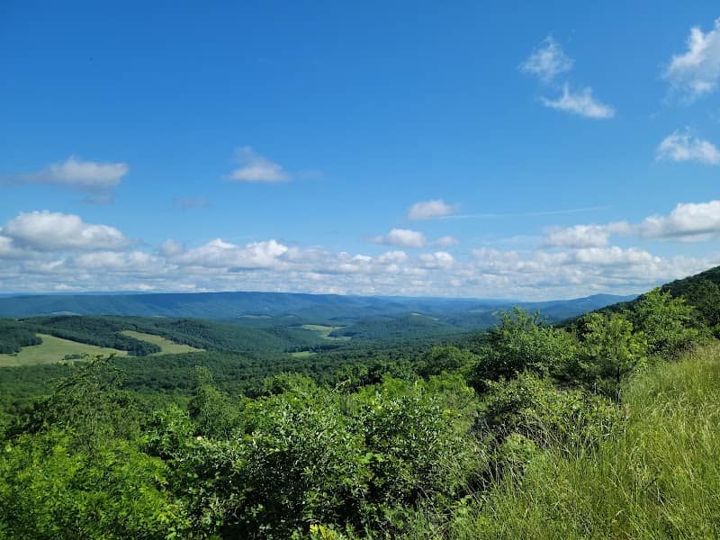 Nathaniel Mountain Wildlife Management Area - Image 2