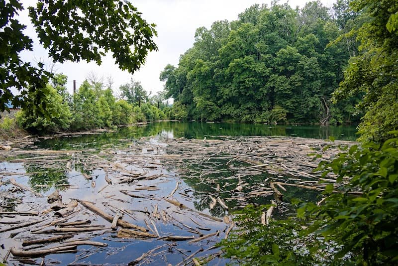 Funks Pond Recreational Area - Image 2