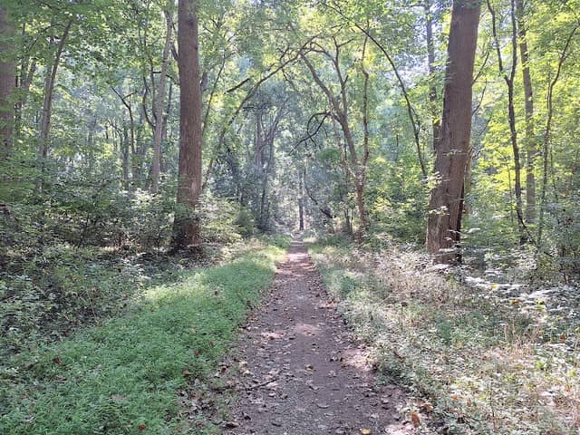 Funks Pond Recreational Area - Image 1