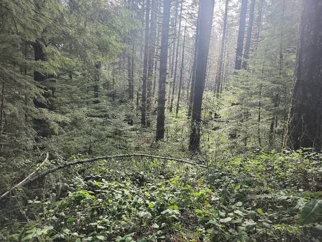 Storey Burn Trailhead - Image 2