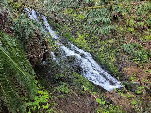 Storey Burn Trailhead - Image 1