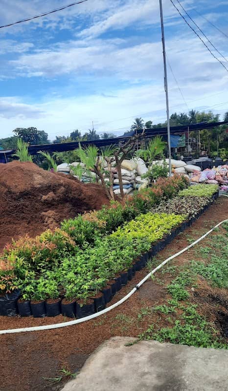 Ernida's Garden (Batangas) - Image 2