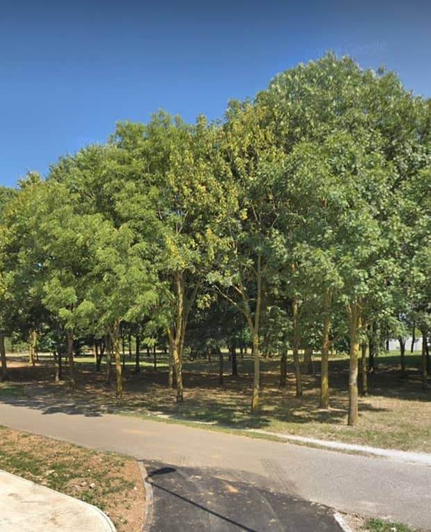 Parco del Ginestrino - Image 2