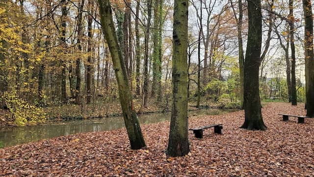 Graf-Eduard Park - Image 1