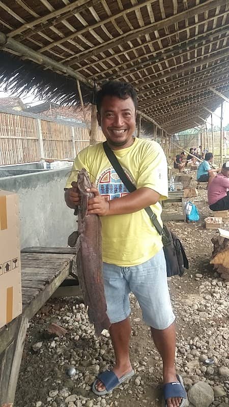 Pemancingan Berkah Lumintu Plangitan - Image 2