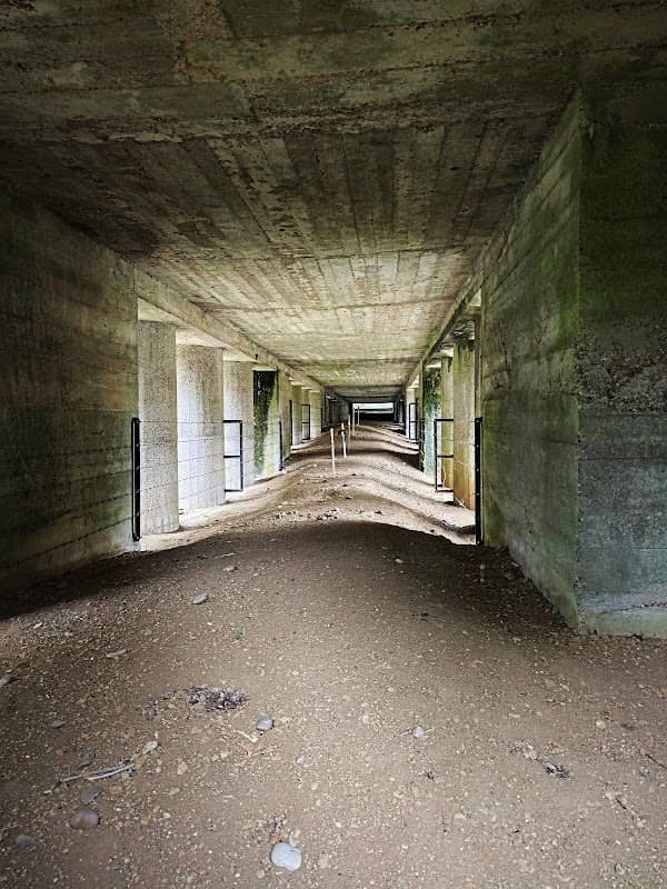 Trench of Bayonets - Image 1