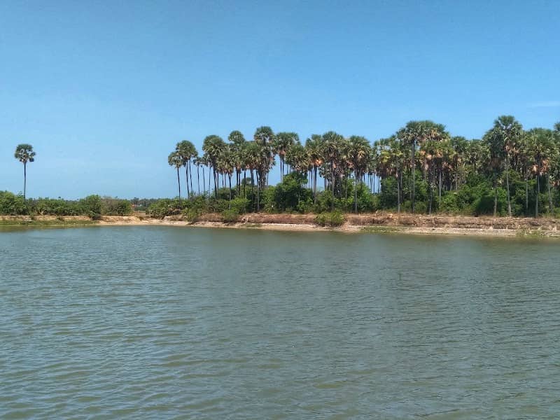 Kilanai Pond கிளானை குளம் - Image 2