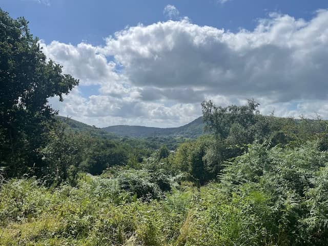 Taff Trail - Image 1
