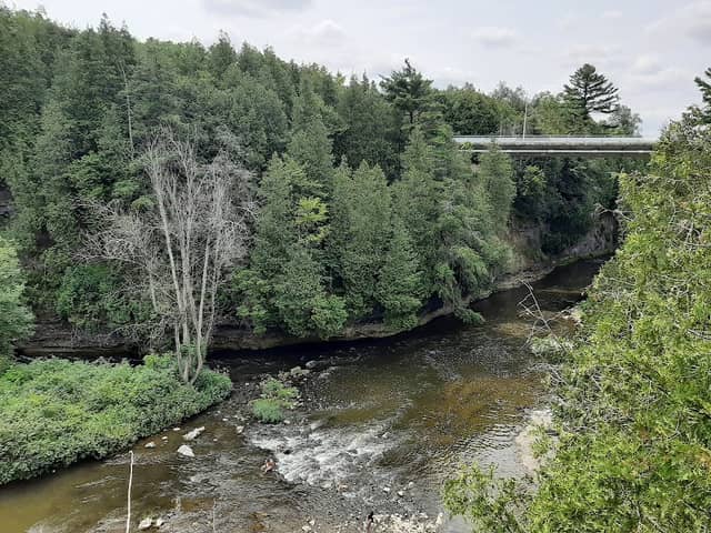 Elora Gorge Lookout - Image 2
