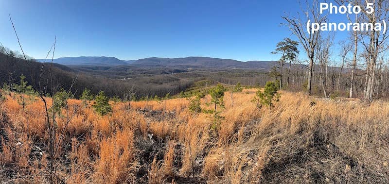 Devil's Backbone State Forest - Image 1