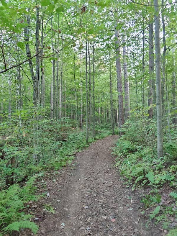 Parc Nokomis Park - Image 1