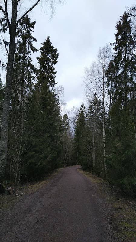 Malminmetsä forest - Image 2