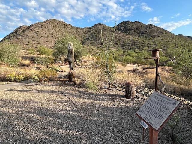 Cave Creek Nature Center - Image 2