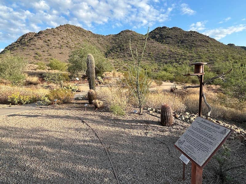 Cave Creek Nature Center - Image 2
