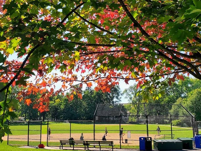 Maplewood Park - Image 2
