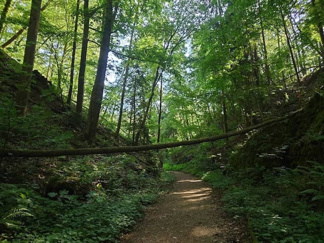 Geo- und Naturpfad - Image 1
