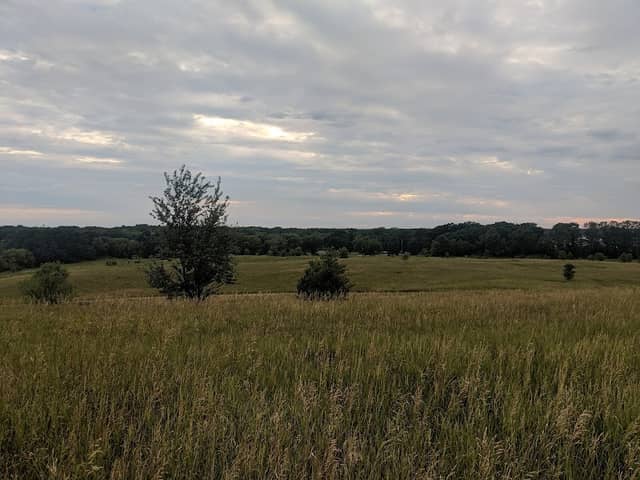 Grams Park - Image 2