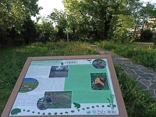 Vivian Park Stepping Stones Nature Reserve - Image 1