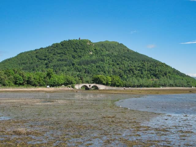 Harbour View Gallery - Image 2